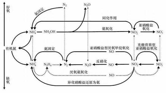 QQ截圖20181112094347.jpg QQ截圖20181112094347.jpg
